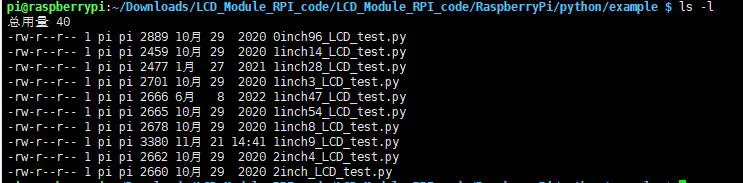LCD rpi python examples 1in9