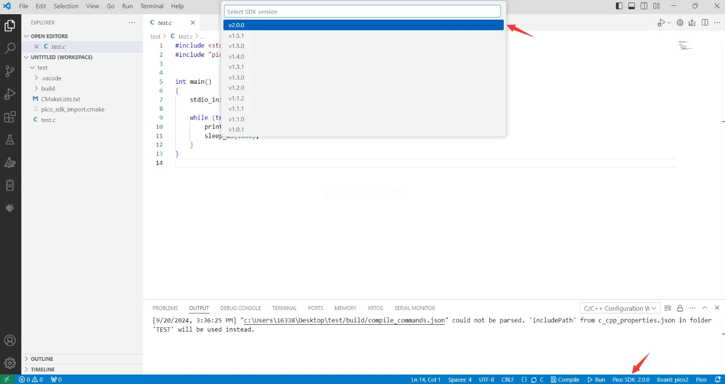 Pico-vscode-13