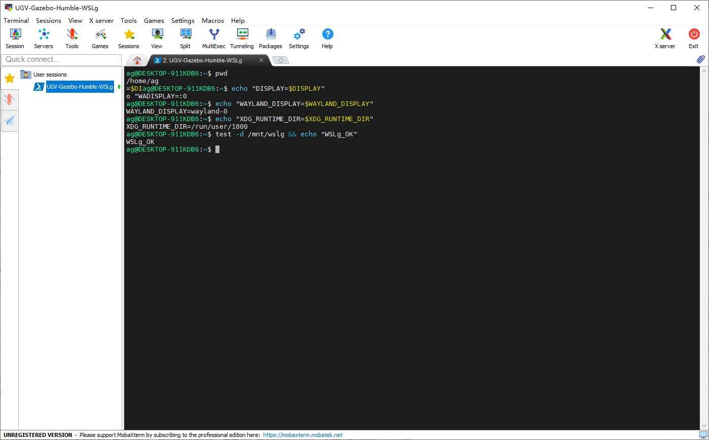 MobaXterm WSLg 环境检查结果