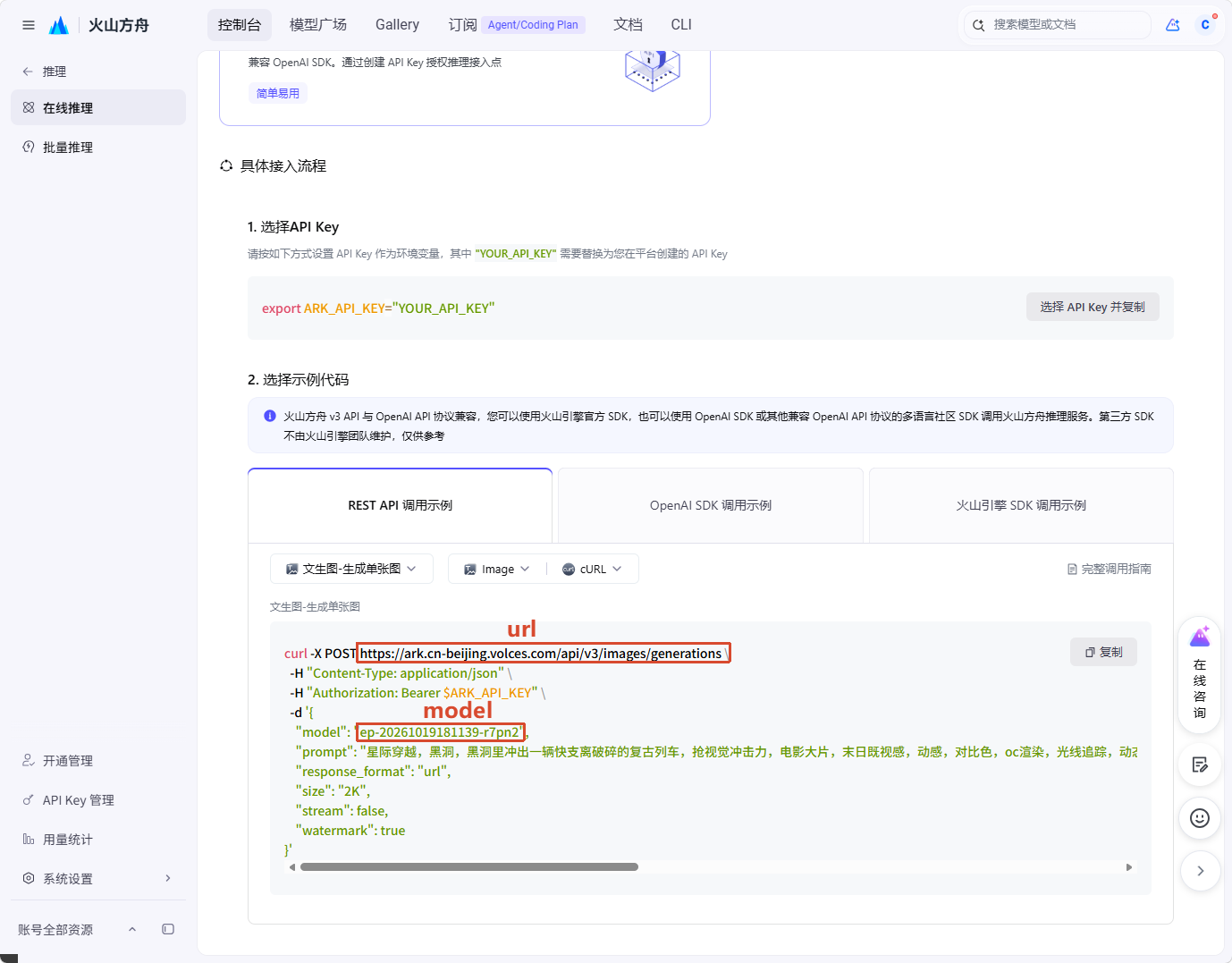 火山方舟 REST API 调用示例中标注的请求 URL 和 model 接入点 ID